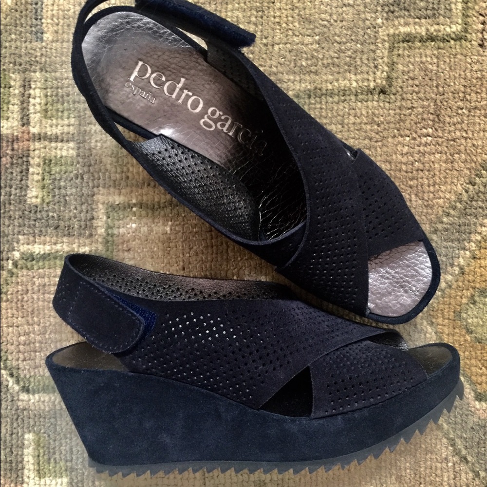 Pedro Garcia Navy Suede Wedges